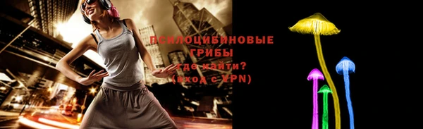 метадон Медвежьегорск
